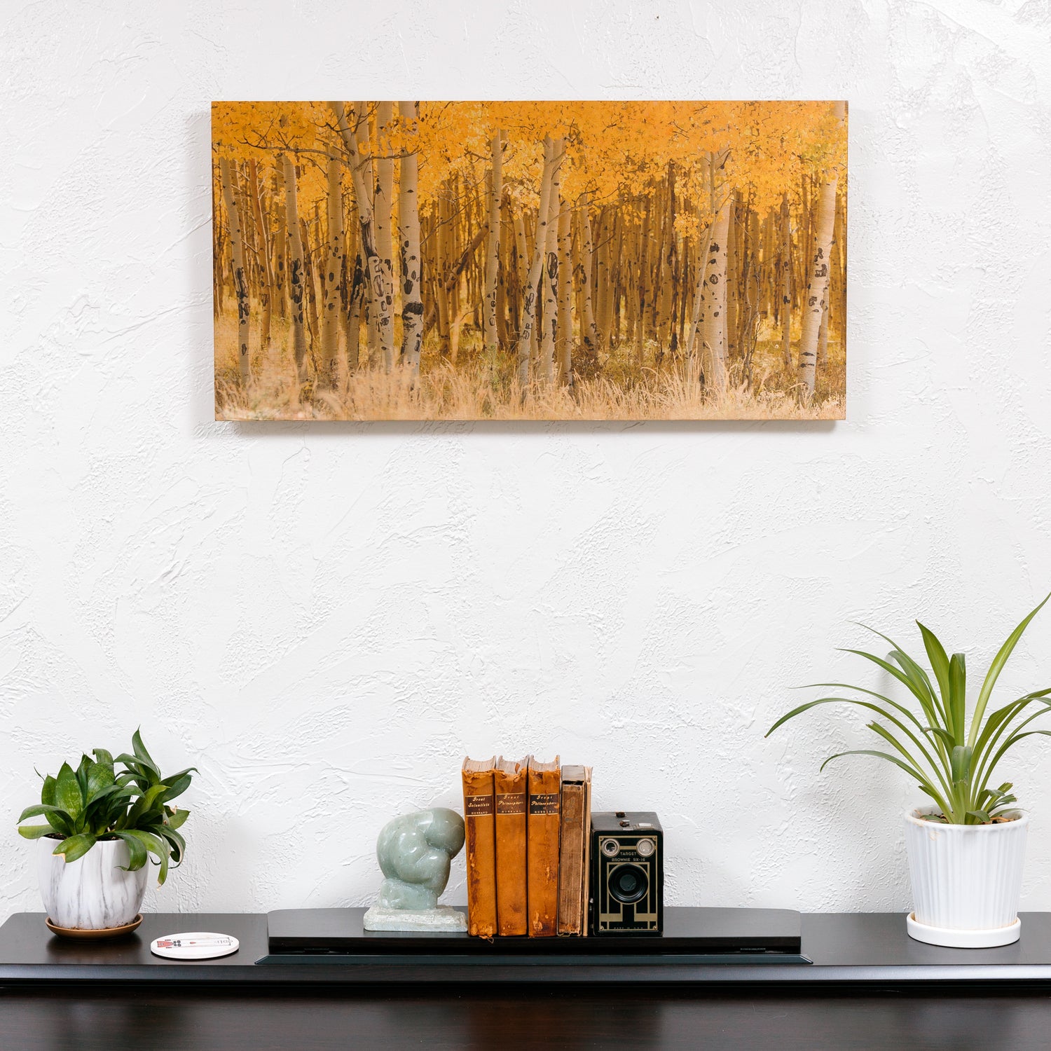 Wood Prints