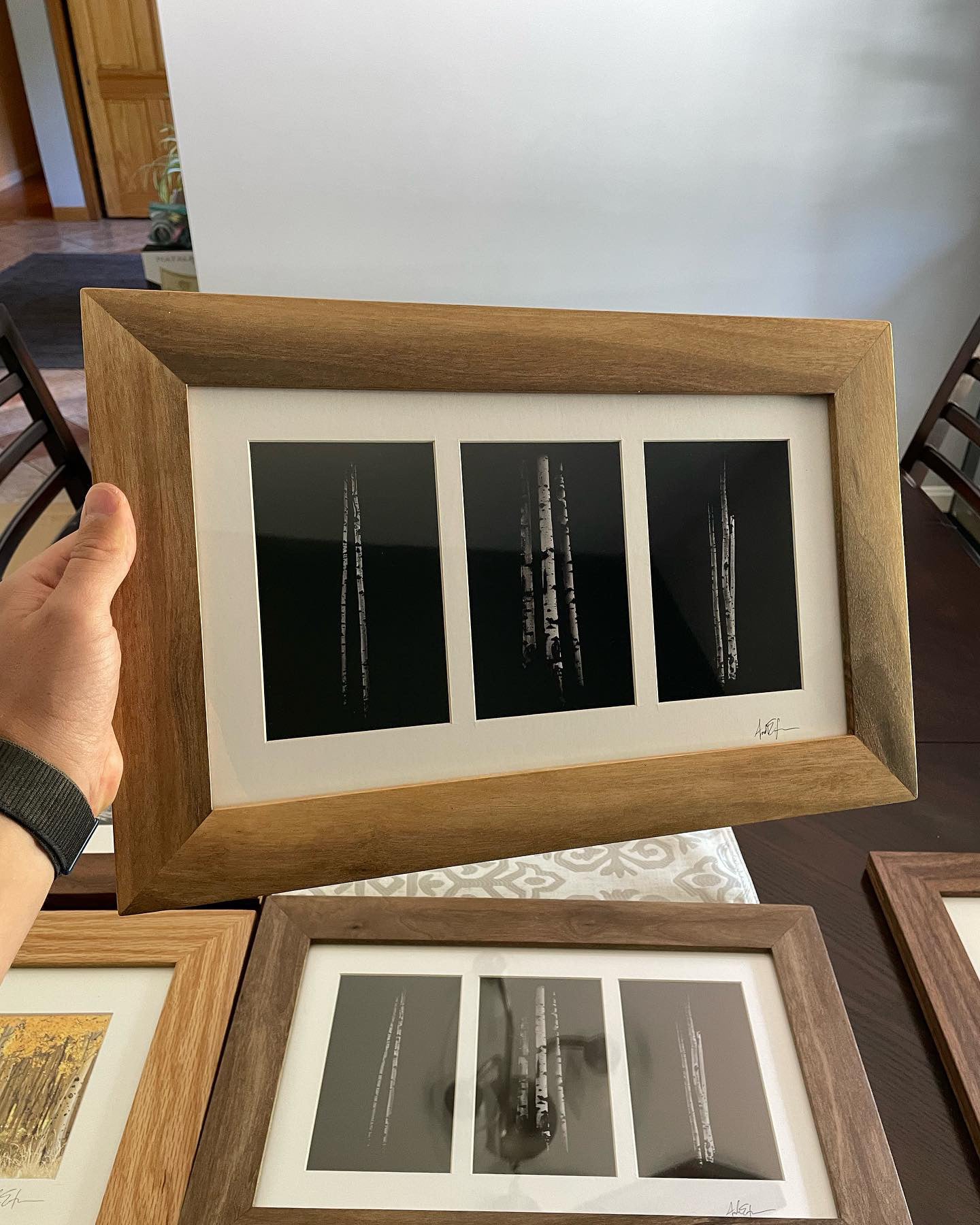 Ansel Aspens Triptych (HOLIDAY SALE) - Framed Print