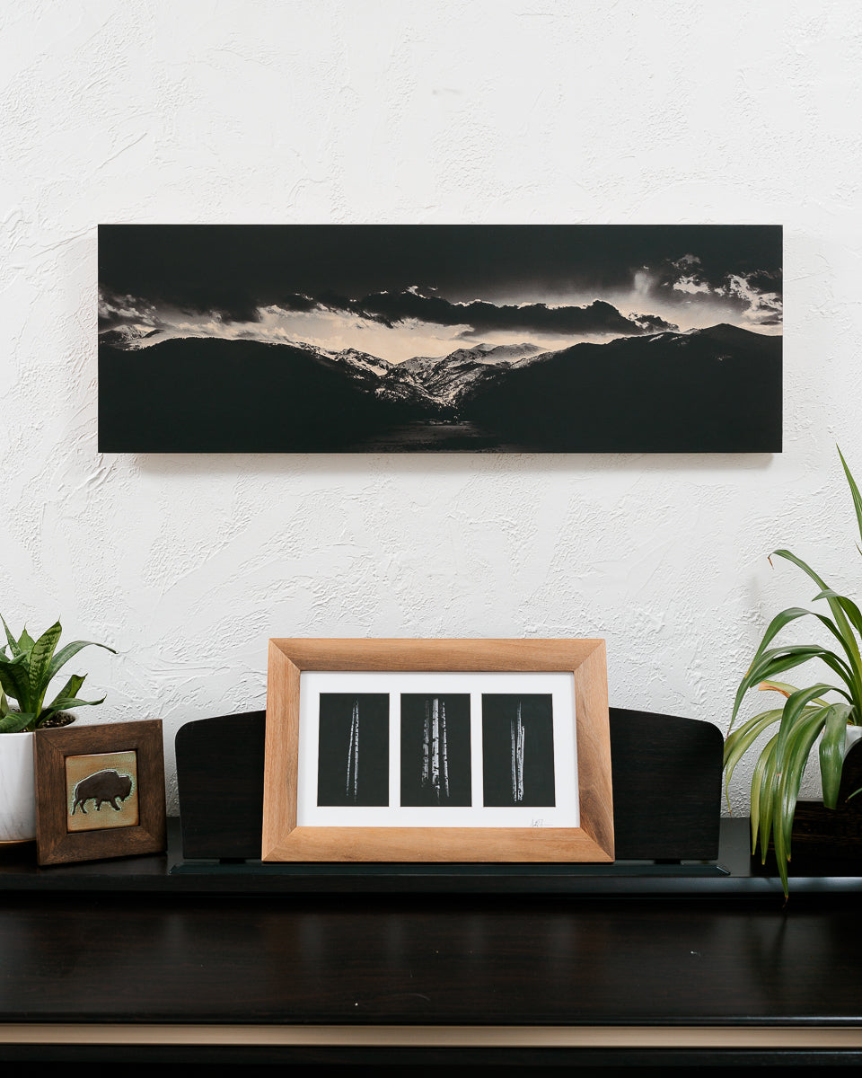 A Westward Gaze (HOLIDAY SALE) - Wood Print