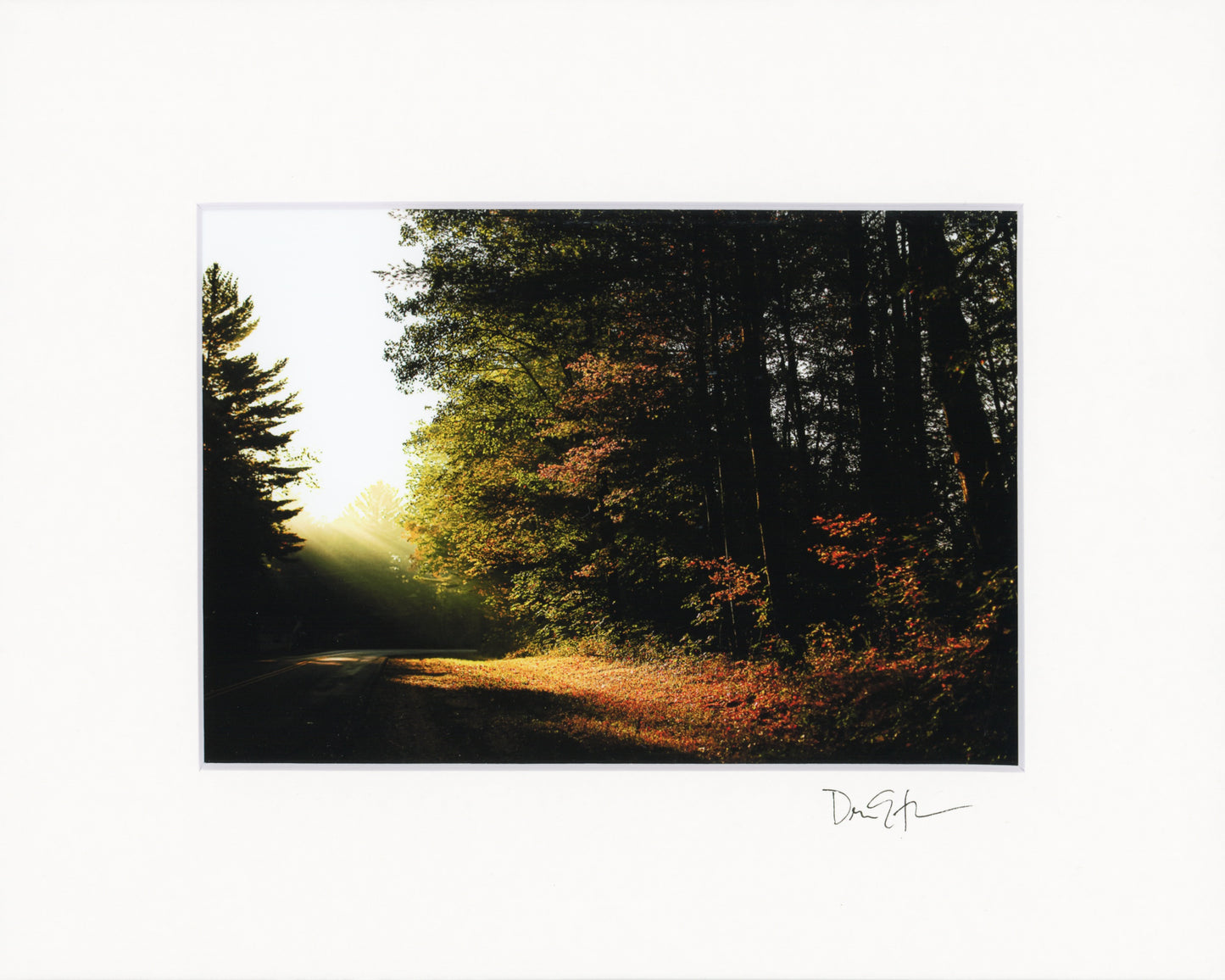 5x7 Matted Prints