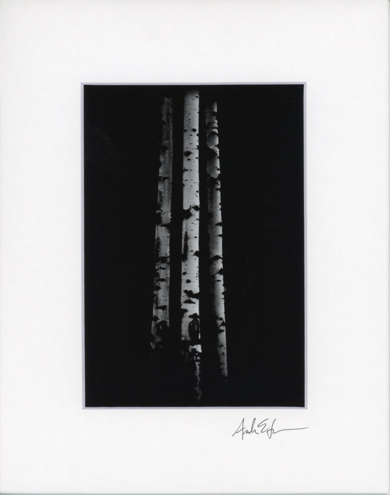 5x7 Matted Prints