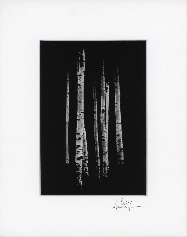 5x7 Matted Prints