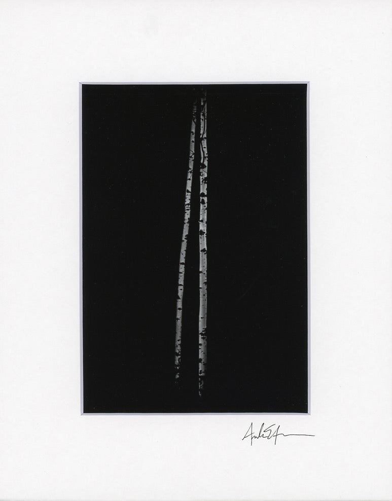 5x7 Matted Prints
