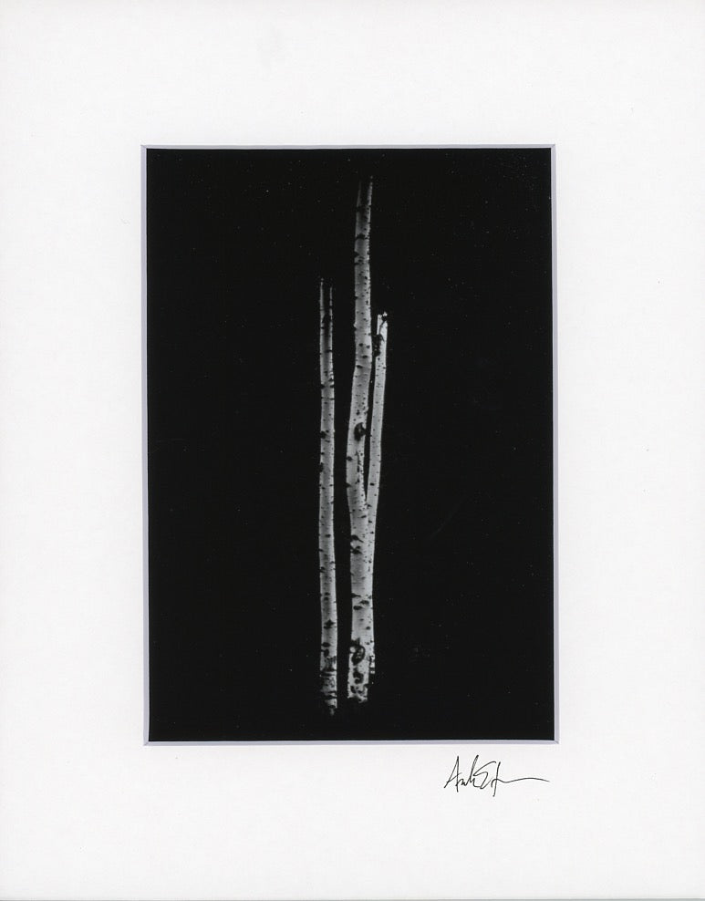 5x7 Matted Prints