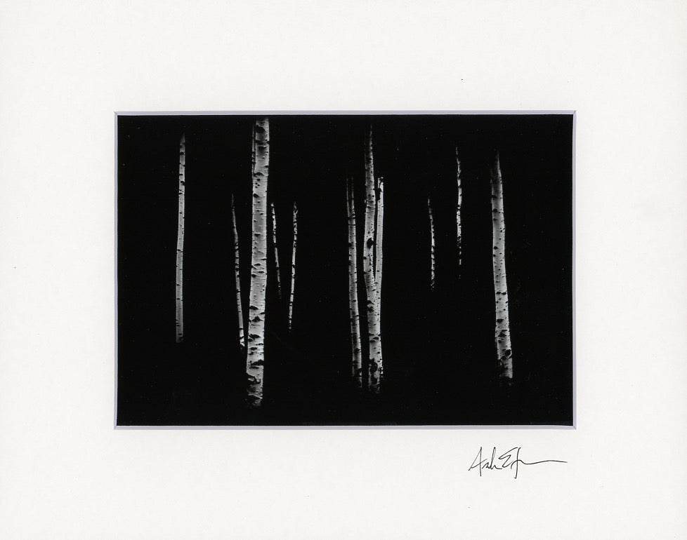 5x7 Matted Prints