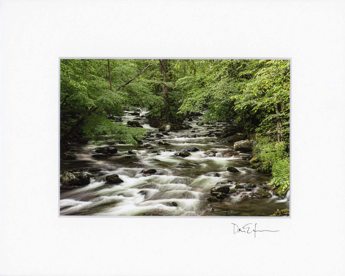 5x7 Matted Prints