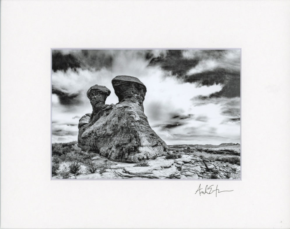 5x7 Matted Prints