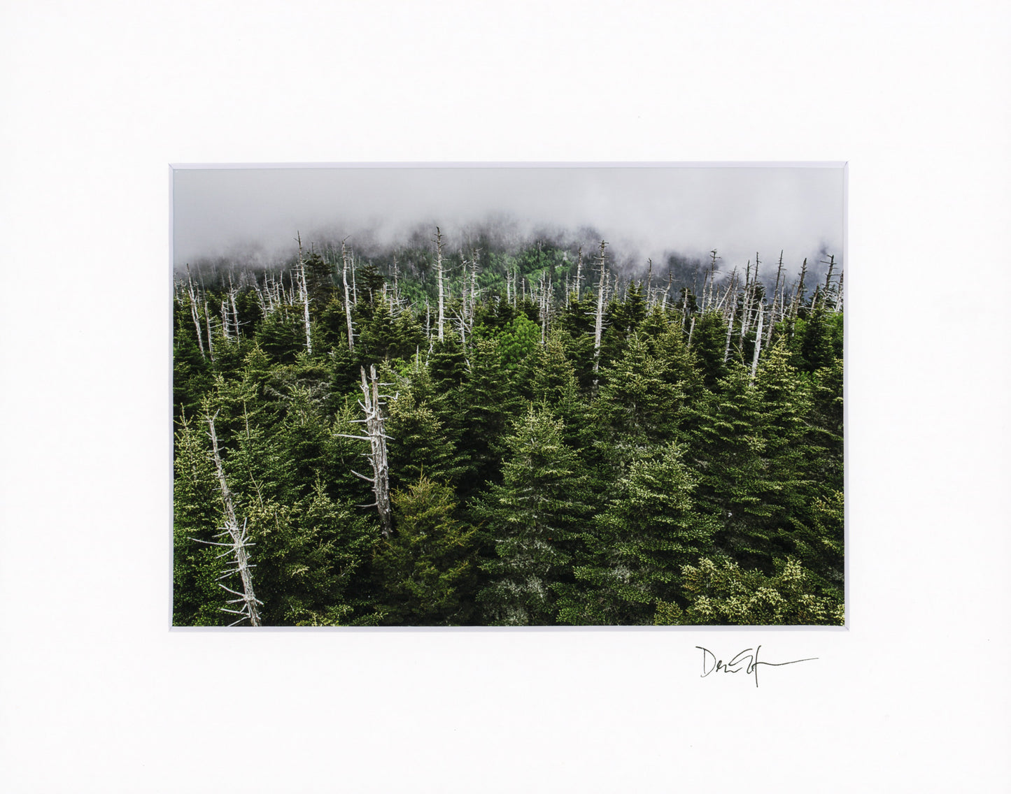 5x7 Matted Prints