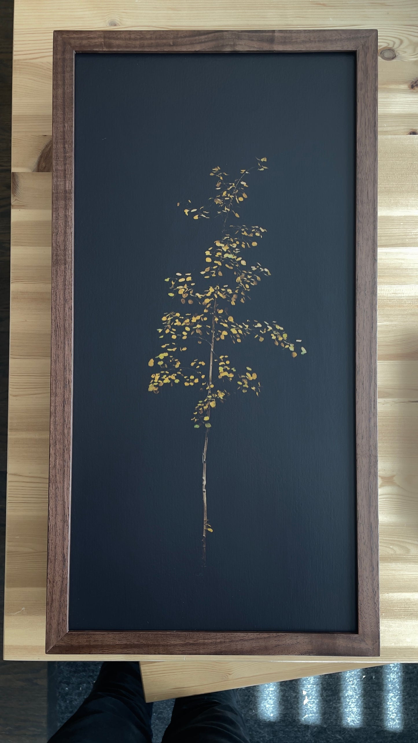 Illuminated Aspen - Framed Wood Print
