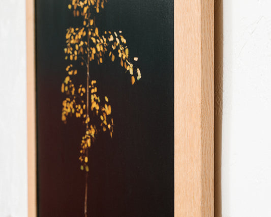 Illuminated Aspen - Framed Wood Print