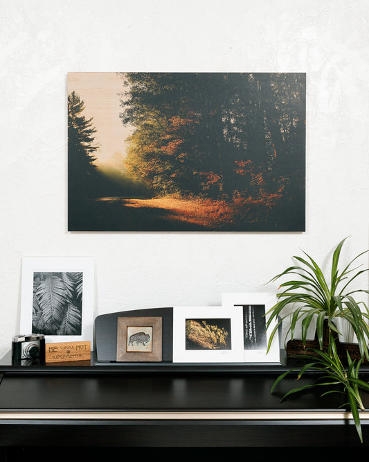 ADK Scene No 2 - Wood Print