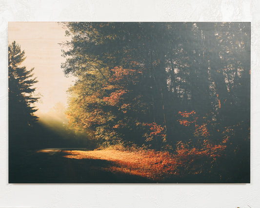 ADK Scene No 2 - Wood Print