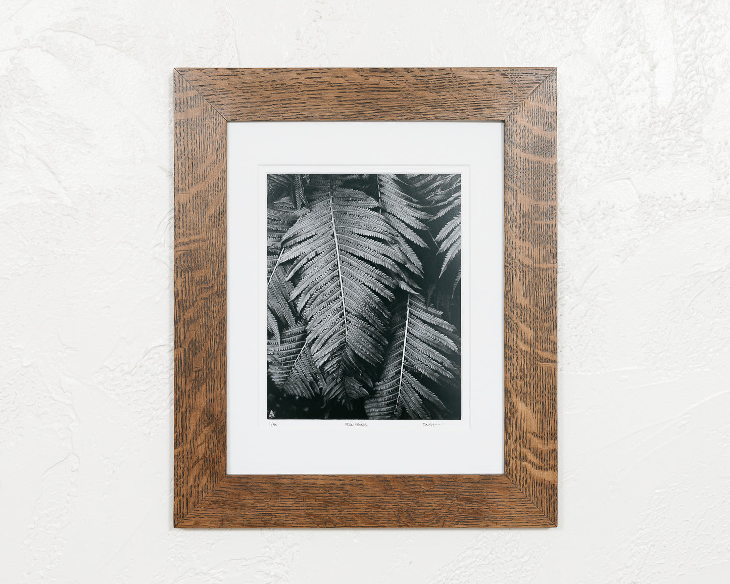 Fern Fronds - Framed Print