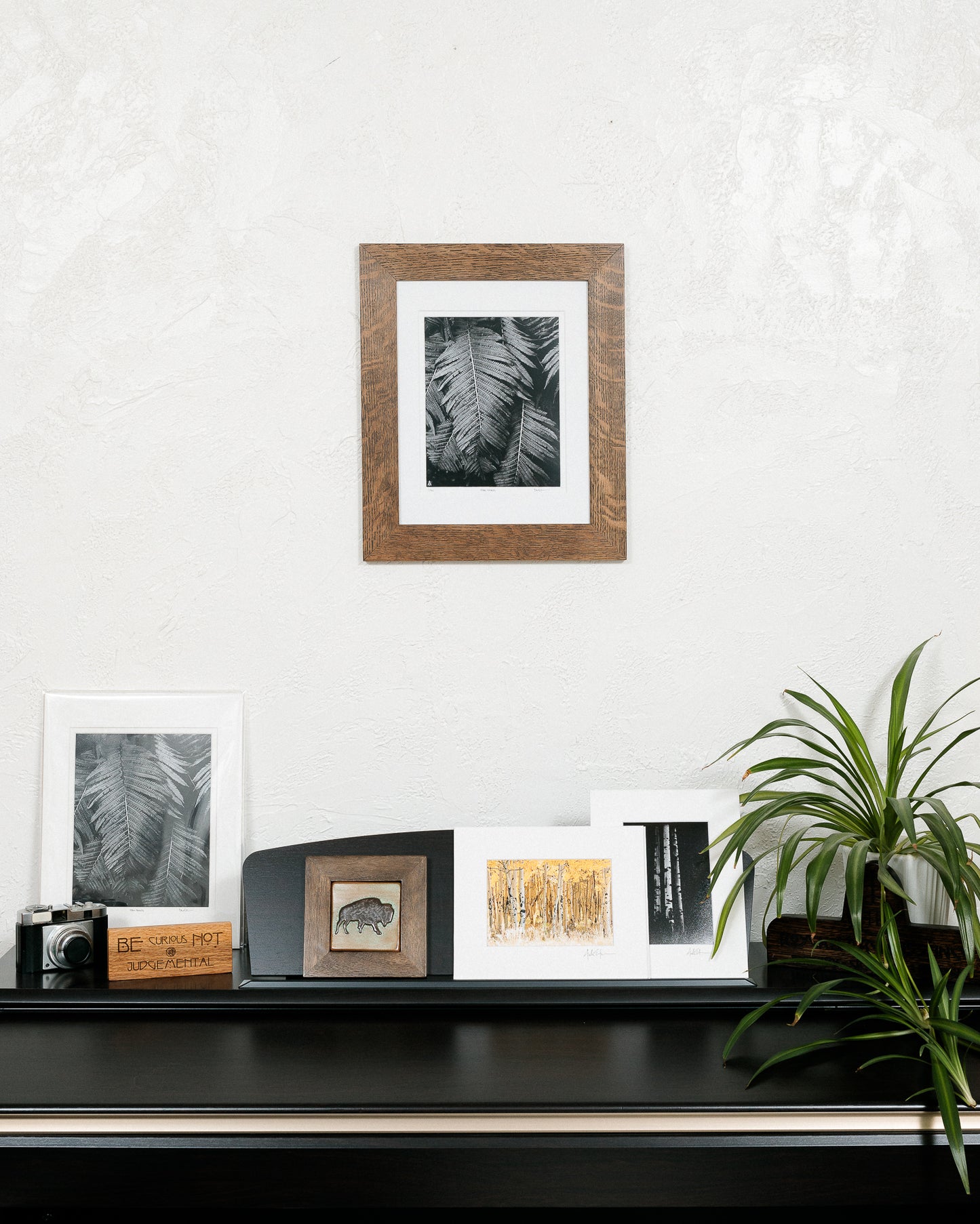 Fern Fronds - Framed Print