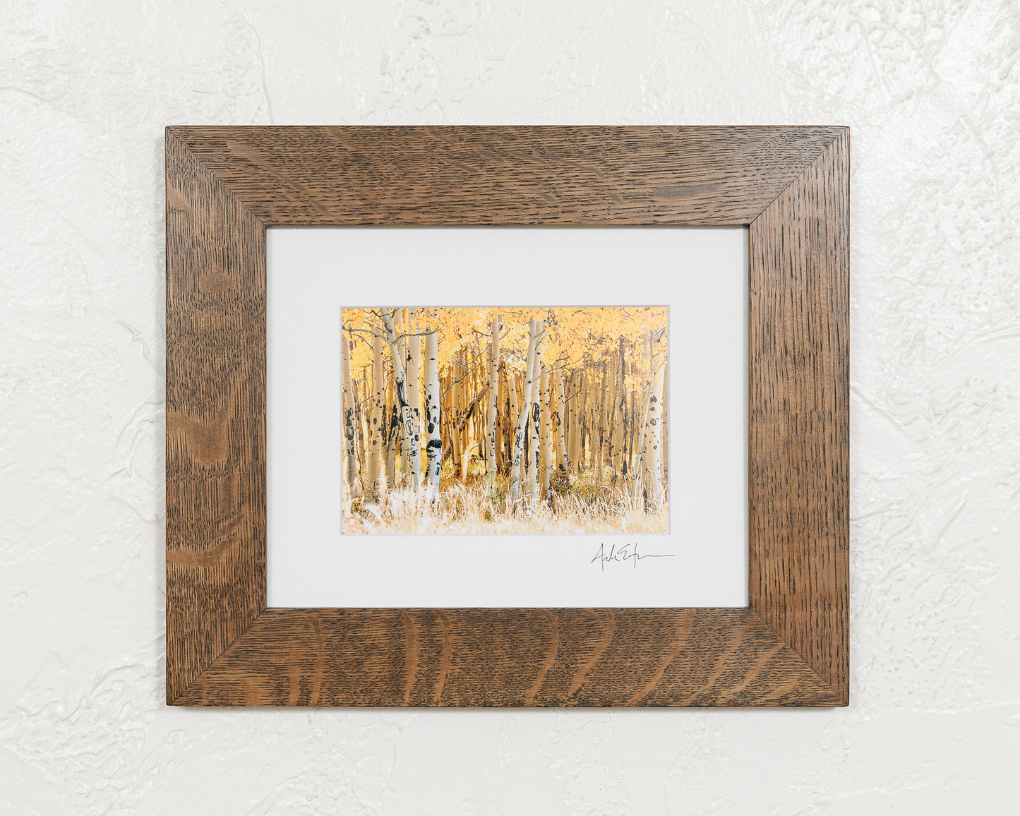 Kenosha Aspens - Framed Print