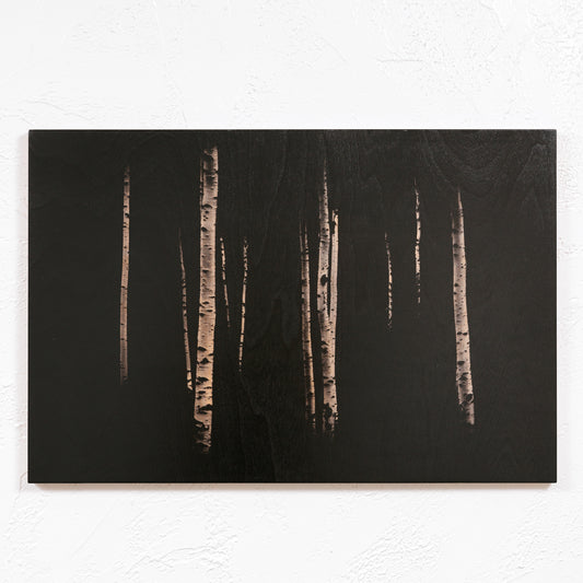 Ansel Aspens No. 5 - Wood Print